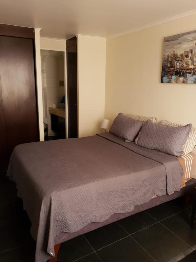 Апартаменти Departamento Con Terraza R&M Сантьяго Екстер'єр фото